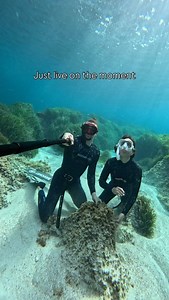 Seaweed Mode 🌊 A unique Seaweed pattern, inspired by the ocean floor, to accompany you on every underwater discovery. ✨ ♾️ ATOLL Seaweed Wetsuit – Maxlux S Mask 📸 @aitormaca @____magma #Beuchat #MaxluxS #AtollSeaweed #Diving #Freediving #Snorkeling #UnderwaterAdventure #ExploreTheOcean #OceanProtect #Scubadiving #Sea #Beuchat #Ocean #Mer #Plongée #Snorkeling #Apnee #OceanLover #Scuba #MaxluxS #MaxluxAroundTheWorld #ToEnjoyAndProtectTheSea #Dive #freediving | Beuchat