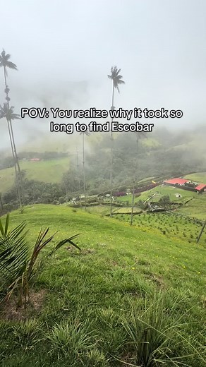 Discover the Beauty of Cocora Valley in Colombia