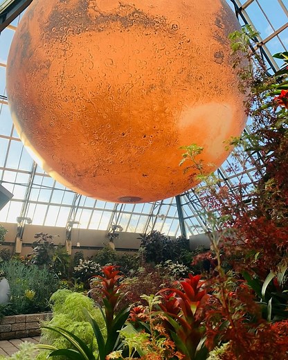 Escape to the Muttart Conservatory in Edmonton! 🌿Step into a world of lush plants, vibrant art, and local flavour—there's so much to experience! Explore four unique plant biomes—Tropical, Temperate, Arid and the Feature Pyramid—showcasing over 700 species. Don't miss the stunning Mars exhibit by Luke Jerram, an out-of-this-world journey through the red planet (from now until April 27, 2025). 🪐 With seasonal displays changing throughout the year, there's always something new to discover. Relax