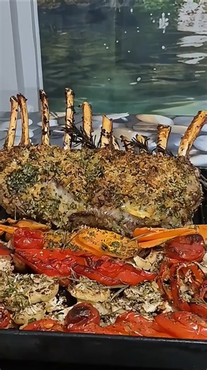 🔥 Outdoor chef Life | Outdoor Cooking & lamb chops Recipes