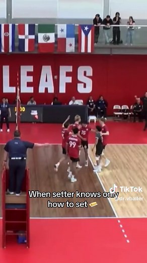 Setter Still Setting: Smooth Plays Close to the Net