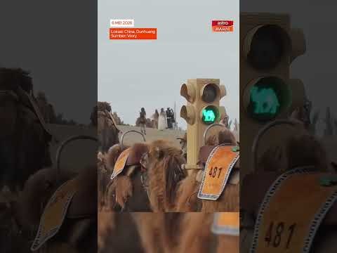 Ini di Gurun Gobi, China, bukan di Arab ya!