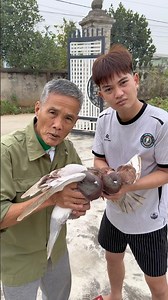 Ảo thật đấy #funny