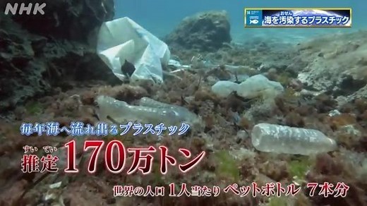 放置しないで！プラスチックごみ問題 | 地球は放置してても育たない | NHK for School