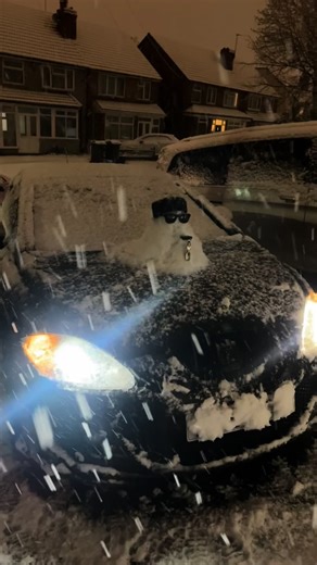 Dealing with Excessive Barf: Humorous Recovery Tips