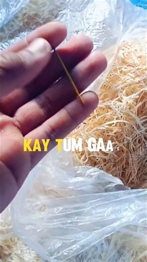 TRYING TO FIND A NEEDLE IN A HAYSTACK#algorithm