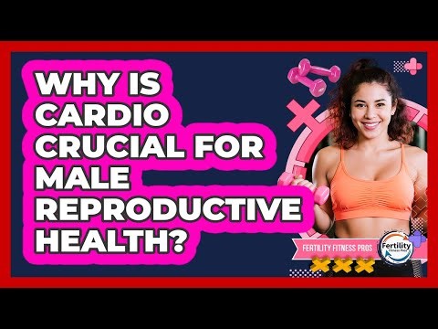 Why Is Cardio Crucial For Male Reproductive Health? - Fertility Fitness Pro