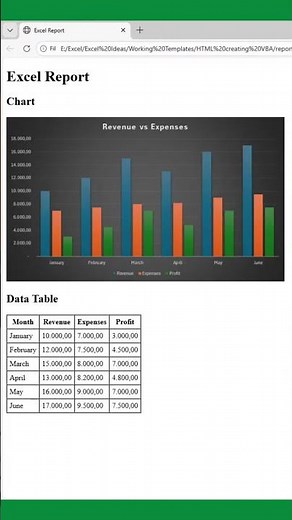 Turn Excel Data into Web Reports Instantly #excel #automation #tutorial