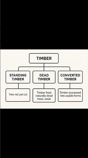 Timber in Construction | Types, Properties, & Uses of Timber | Civil Engineering Materials #viral