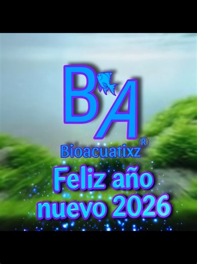 Feliz y próspero año nuevo #2026 #bioacuatixz #peces #pez #acuario
