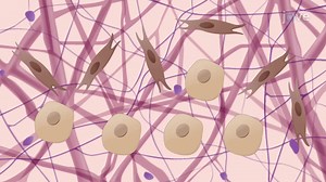 Video: 3D Co-culture of Lung Cancer Cells with CAFs: An In Vitro Model System to Study Tumor Progression - Experiment