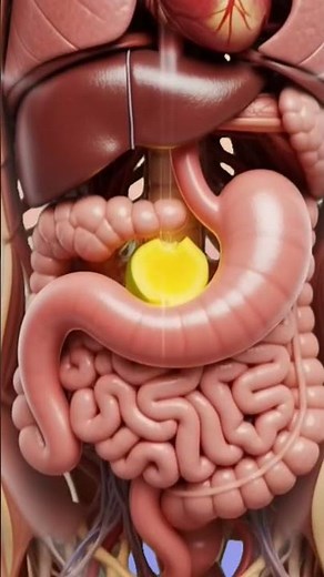 Inside the Human Body – Science in Motion#3d animation#humanbody #anatomy