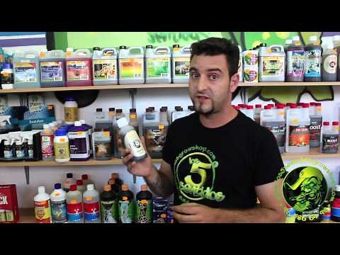 Como utilizar Root Juice de Bio Bizz