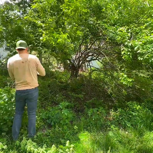 1.4K views · 39 reactions | Neighbor needed HELP so I CALLED in for BACK UP | Lawn Care Reels | Facebook