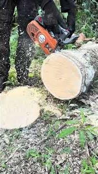 Test power chainsaw new west 257.