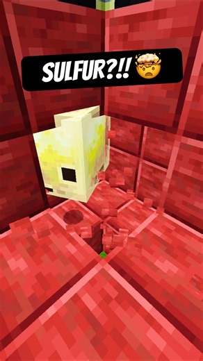 MINECRAFT LOOP is Endless!! 😵‍💫💀 #shorts