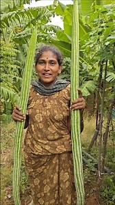 Come to the long-legged market.