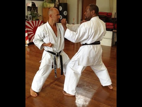 Dynamic Karate Pad work Kicks