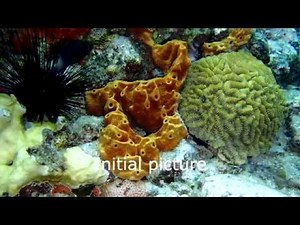 Blender easy Camera Mapping for beginners (Quick Tutorial)