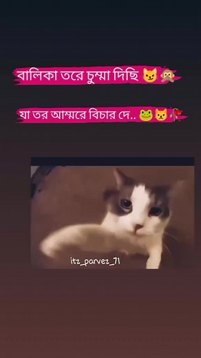 ErrOR (@errorhear)’s videos with original sound - ErrOR