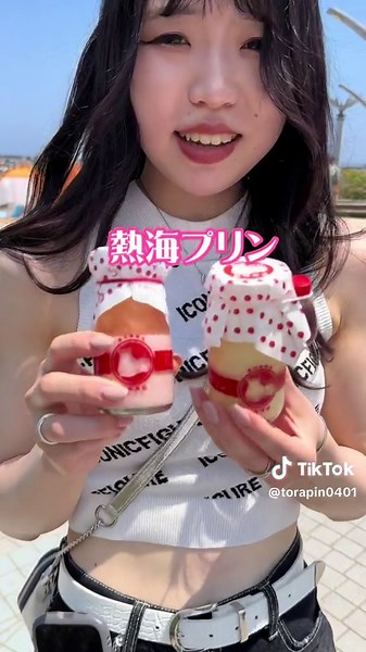 熱海観光: グルメ、海鮮、プリンを食べ尽くす旅