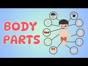Body Parts For Kids - Simple & Fun Learning About Body Basics! | Kids Learning