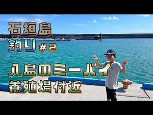 石垣島 釣り 八島のミーバイ養殖場付近 堤防釣り 子供 釣果ゼロ しょうた釣りチャンネル