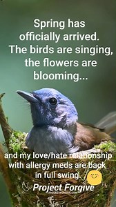 #lol #truth #spring! | Project Forgive