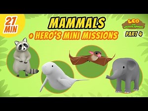 Mammals (Part 4/8) - Junior Rangers and Hero's Animals Adventure | Leo the Wildlife Ranger