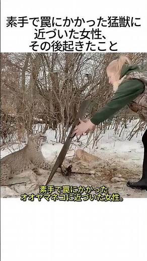 罠にかかった猛獣に素手で近づいた結果...衝撃の光景