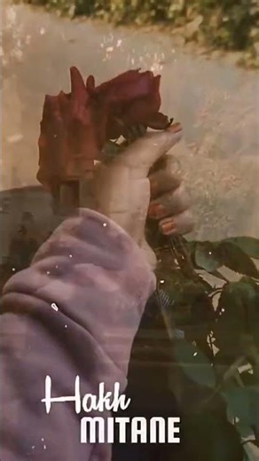 নারীর ভালোবাসা বৃক্ষের মতো, যত যত্ন নিবে ততই বাড়বে!!🖤🌻#highlights #viral #rose #imagination