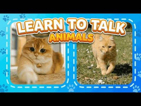 Baby Learning First Words | Animals | Learn to Talk For Babies