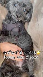 【Coco】Alien from XX appears in our house🐶❤️💫🌟