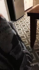 Watch barber cape hair cutting cape on Amazon Live