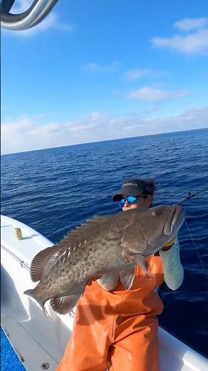 Commercial Fishing with the Penn Fathom Electric Reel!