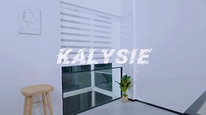 Zebra Roller Window Blinds,Custom Cut to Size,Roller Blinds Dual Layer Roller Shade Blinds, White,Fixed 72 InchesHigh,20 Inches Width