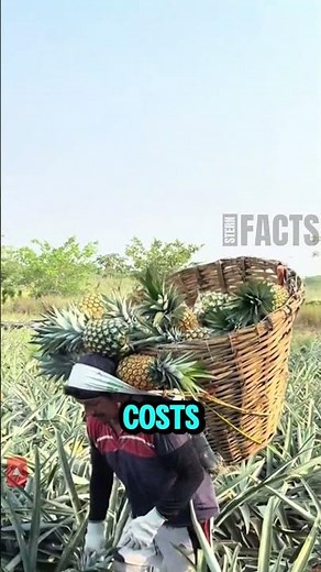 The Brutal Job Behind Your Pineapple 🍍