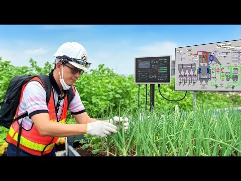 Simulation Processes EP.1