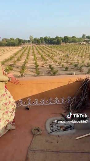 Exploring Village Life in Rajasthan