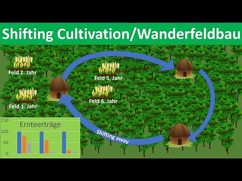 Shifting Cultivation/Wanderfeldbau [Erdkunde, Mittel- und Oberstufe]
