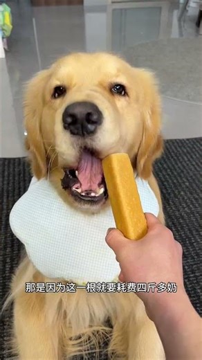 Milk Magic: The Art of Blending Cow & Goat Milk Cheese