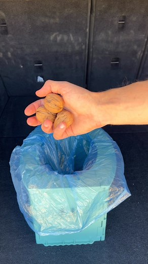 Public restroom looked so bad I wouldn’t let my toddler step inside 😷🚽 Our travel potty keeps every potty break clean and stress-free. Comment ‘toddler’ for all the details . . . #pottytraining #toddlerlife #grossbathroom #momsoftiktok #dadsoftiktok #usaparents #babygear #parentinghacks #momlifeusa #reelsus | Avvona