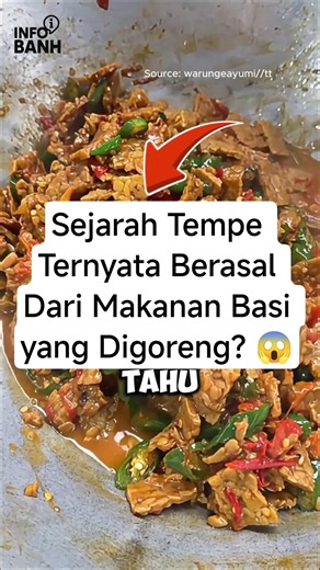 Sejarah Tempe Ternyata Berasal Dari Makanan Basi yang Digoreng? 😱