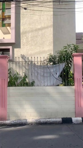 Your future starts now! While you're young, it's the best time to secure what lies ahead. Life is unpredictable, but with life insurance, you’re prepared for anything. It’s not just for you it’s for your loved ones, your peace of mind, and your financial security. The earlier you start, the more you save and the greater the benefits. Don’t wait for the ‘right time’ because the best time is now. Secure your future today! Message us 📩✉ #prulife #lifeinsurancetok #insurance #foryou #fypツ #viraltik