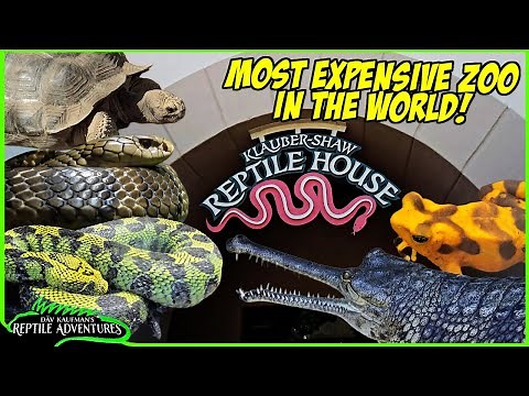 REPTILE HOUSE TOUR at the SAN DIEGO ZOO!