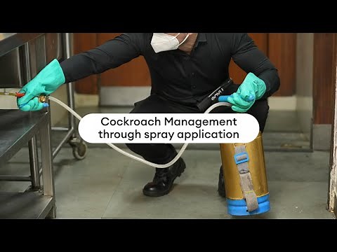 Cockroach management through spray application with Temprid SC