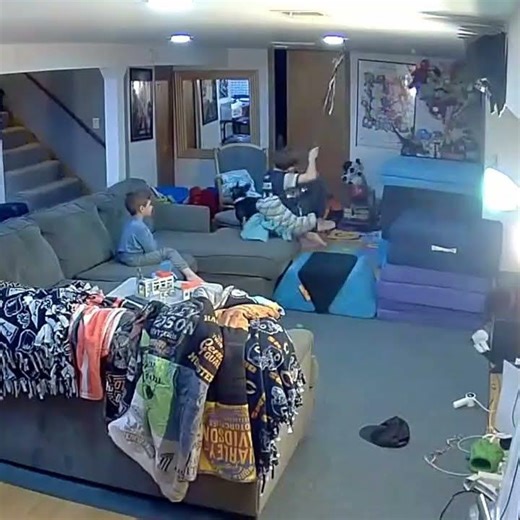 French Bulldog Tumbles Off Couch After Boy's Swing Bumps Him