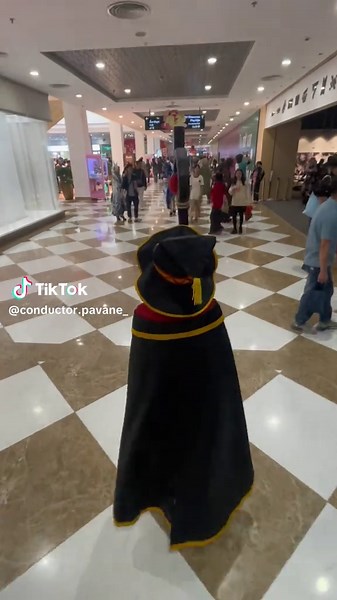 Megumin Cosplay Guide for Konosuba Fans