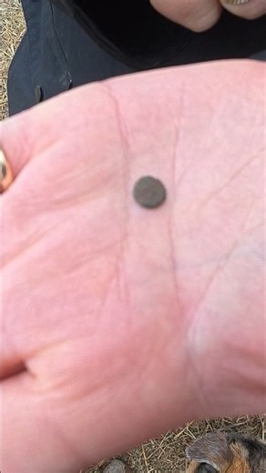 You Won't Believe What This TINY Metal Object Is! #archaeology #treasure #history