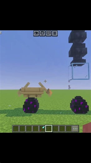 Minecraft Dragon Egg Logic💀